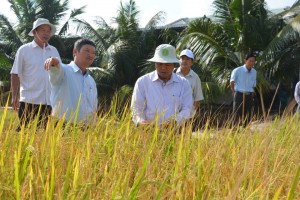 Đẩy mạnh đầu tư phát triển sản xuất nông nghiệp công nghệ cao