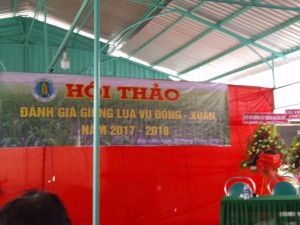 Hội thảo Bạc Liêu
