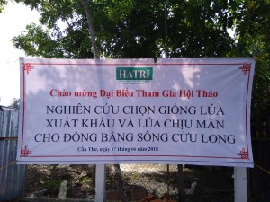 IMG Hội thảo