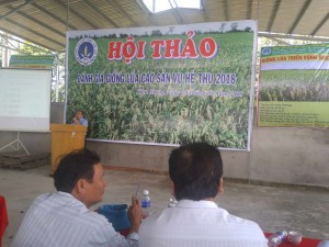 Hội thảo