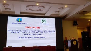 SƠ KẾT SẢN XUẤT TRỒNG TRỌT VỤ ĐÔNG XUÂN 2020-2021