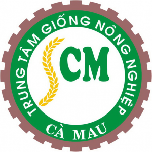 Về việc bán tài sản từ thanh lý tài sản máy móc, thiết bị
