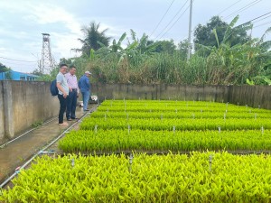 KIỂM TRA TÌNH HÌNH SẢN XUẤT TẠI TRẠI KHÁNH LÂM