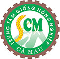 GIỐNG CÀ MAU