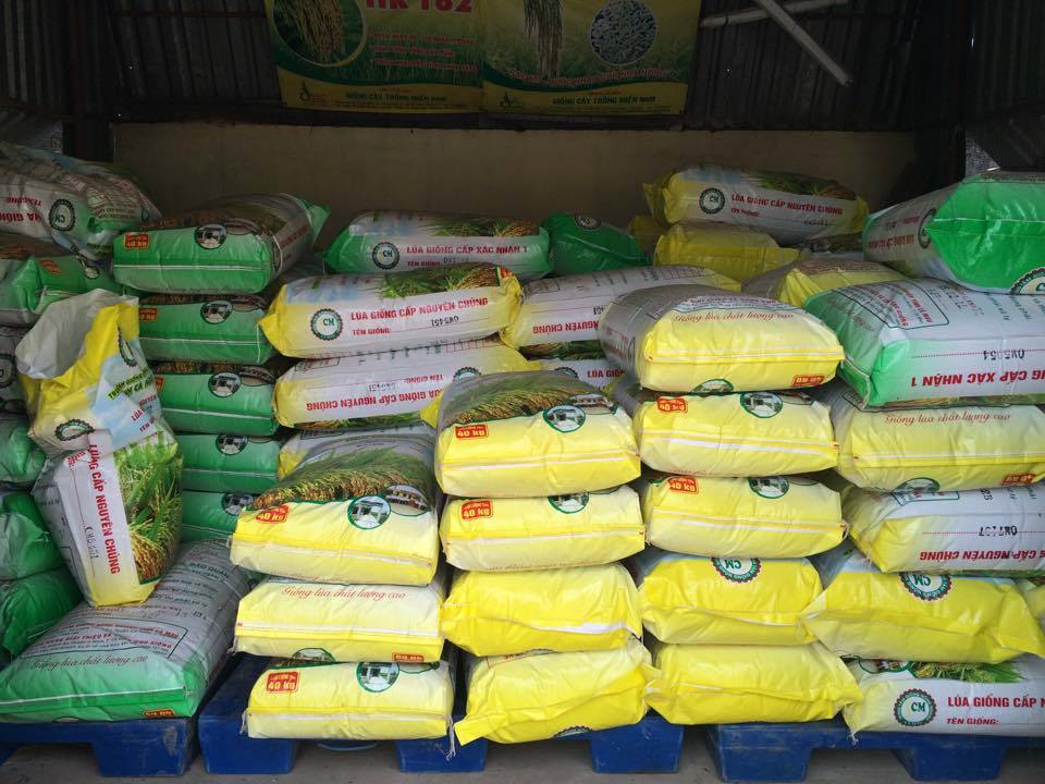 Chủ tịch UBND tỉnh Cà Mau Nguyễn Tiến Hải kháo sát Trại giống Nông nghiệp Khánh Lâm 1