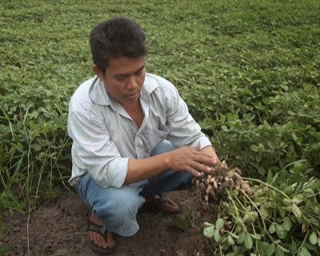 dau phong 2