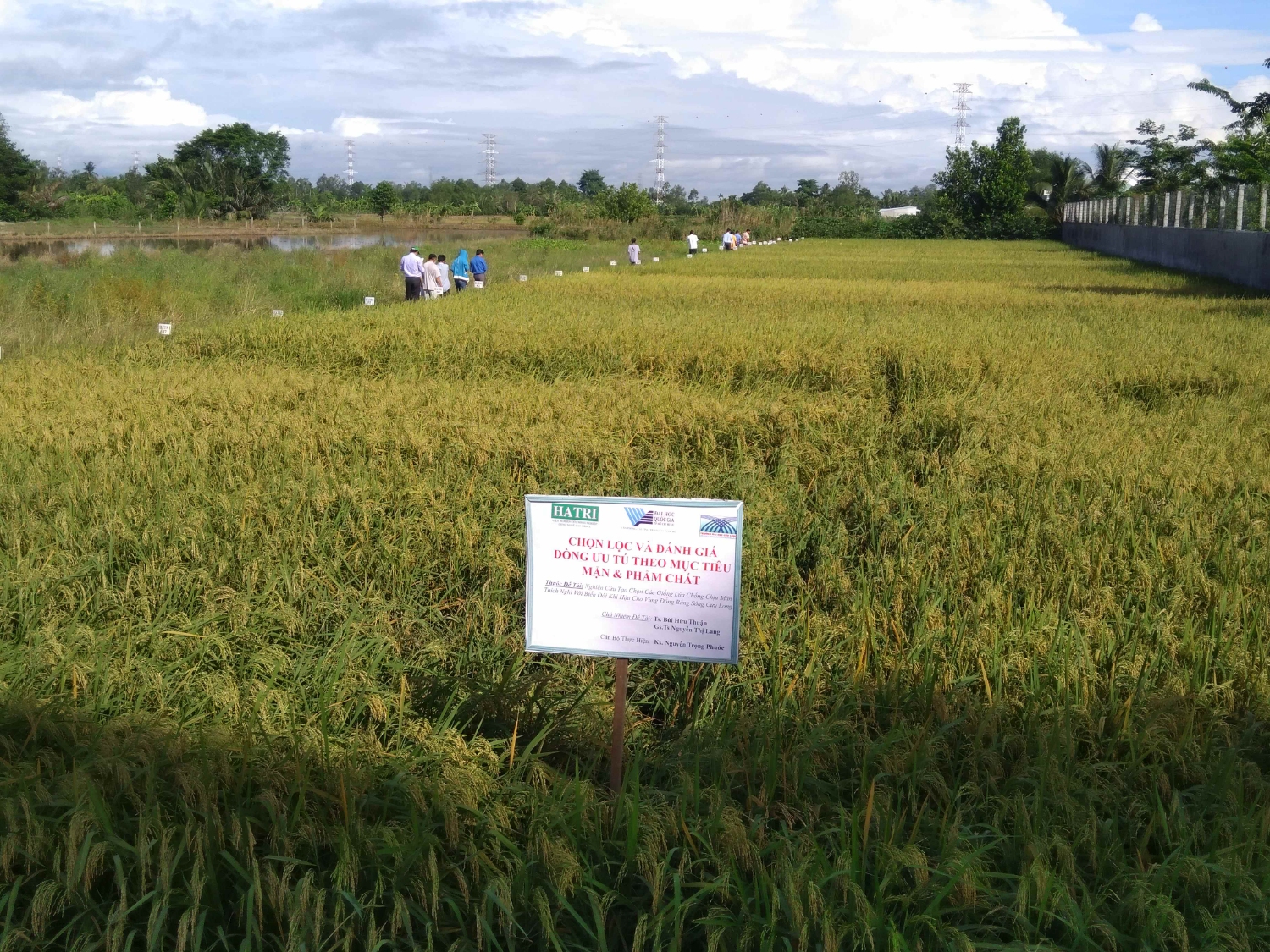 Ruộng khảo nghiệm