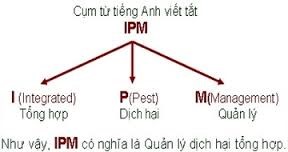 IPM